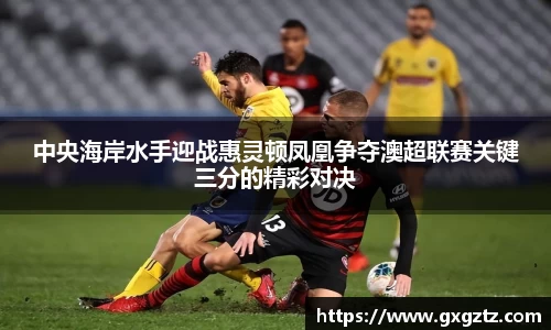 中央海岸水手迎战惠灵顿凤凰争夺澳超联赛关键三分的精彩对决